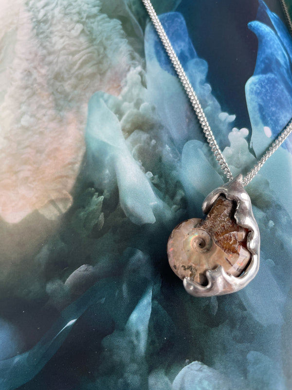 Fossil Ammonite ID Necklace in Silver